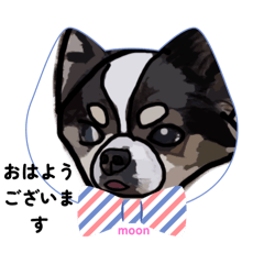 [LINEスタンプ] ペロちゃんとお友達2