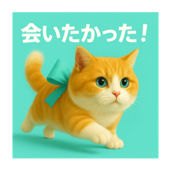 [LINEスタンプ] まるっとふわっと愛を伝えるネコ