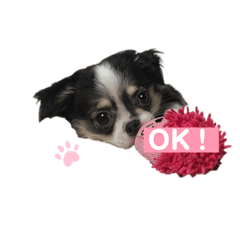 [LINEスタンプ] れおとてり5