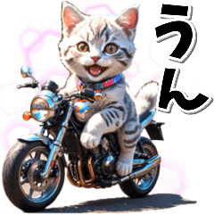 [LINEスタンプ] 即返信♡バイク好き ねこ