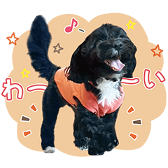 [LINEスタンプ] マルプー福★日常スタンプ パピー編