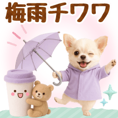 [LINEスタンプ] 大人可愛いチワワで梅雨の気づかい敬語