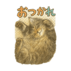 [LINEスタンプ] サバトラのマンチカン