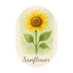 [LINEスタンプ] 7月の花シリーズ:July Flowers