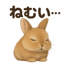 [LINEスタンプ] とにかく眠いリアルなうさぎのライン