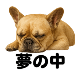 [LINEスタンプ] とにかく眠いフレンチブルドッグのスタンプ