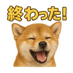 [LINEスタンプ] 華金だ！サラリーマン芝犬のお疲れ様ご褒美