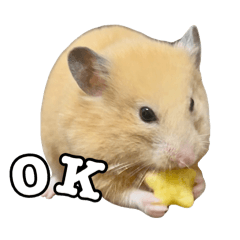 [LINEスタンプ] らてたんすたんぷ