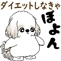 [LINEスタンプ] 動くシーズー犬 2025 「ダイエット」17