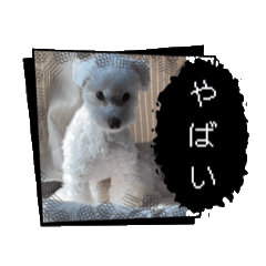 [LINEスタンプ] 動くめろちスタンプ