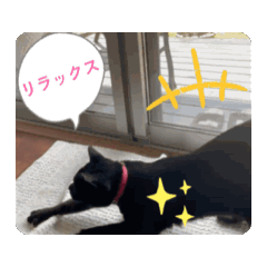 [LINEスタンプ] クロクロのクロッチ②