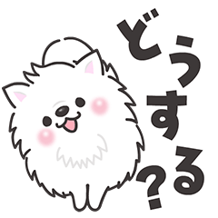 [LINEスタンプ] 動く白くてふわふわのわんこ（待ち合わせ）