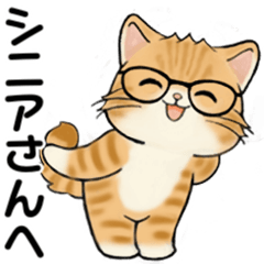 [LINEスタンプ] 笑顔を運ぶ猫たち♡ シニアさんあるある