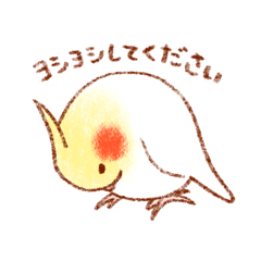 [LINEスタンプ] オカメインコの日常【ピヨ彦】
