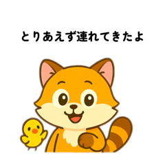 [LINEスタンプ] アライグマの日常で使えるスタンプ