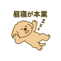 [LINEスタンプ] トイプードルkomugiダラダラ編