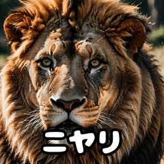 [LINEスタンプ] 表情豊かなライオンが吠える！