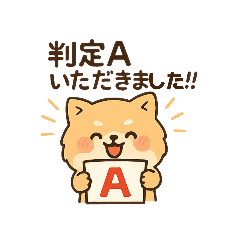 [LINEスタンプ] 会計士試験 答練A判定 ポメラニアン