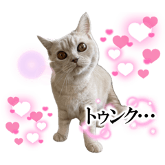 [LINEスタンプ] ころも日記
