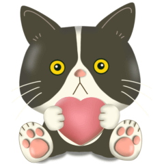 [LINEスタンプ] きもちまるごと！ハチワレぶーにゃん