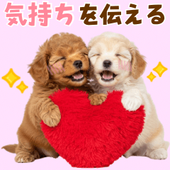 [LINEスタンプ] 毎日使える！感情豊かで可愛いトイプードル