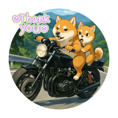 [LINEスタンプ] 芝犬がバイクで2匹乗り！