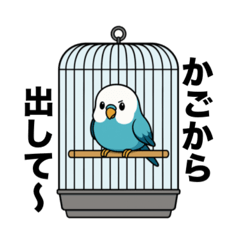 [LINEスタンプ] おしゃべりインコのスタンプ