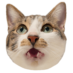 [LINEスタンプ] うずめの毎日4