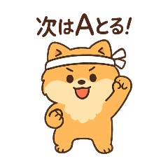 [LINEスタンプ] 会計士試験 答練B判定 ポメラニアン