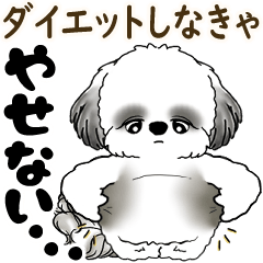 [LINEスタンプ] B＆W 動くシーズー犬 2025 「ダイエット」