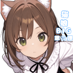 [LINEスタンプ] 元気いっぱい！猫娘のBIGスタンプ第3弾