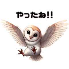 [LINEスタンプ] メンフクロウ日本語ver
