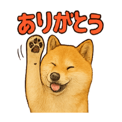 [LINEスタンプ] 毎日使える☆柴犬スタンプ☆