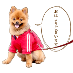[LINEスタンプ] イサミちゃん