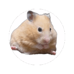 [LINEスタンプ] キンクマハムスターおいもの日常