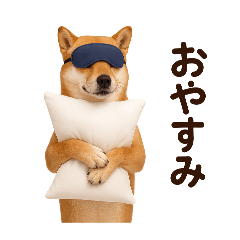 [LINEスタンプ] リアル柴犬(日常)の画像（メイン）