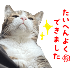 [LINEスタンプ] にゃろん with ペロみ②