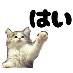 [LINEスタンプ] 毎日使うととんぷ