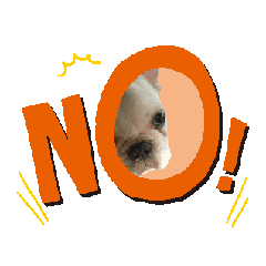 [LINEスタンプ] かいじゅうこじろ