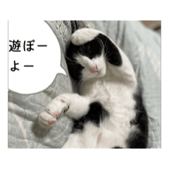 [LINEスタンプ] Ongaisimasu