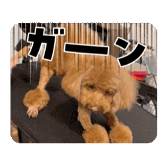 [LINEスタンプ] もかくぅ♡すたんぷ