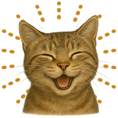[LINEスタンプ] 【無難に使える】子猫のスタンプ