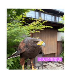 [LINEスタンプ] 華蓮の日常Part3