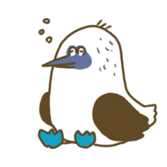 [LINEスタンプ] アオアシカツオドリーさん
