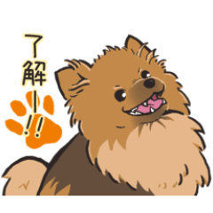 [LINEスタンプ] ポメラニアン レオ君の日常スタンプ