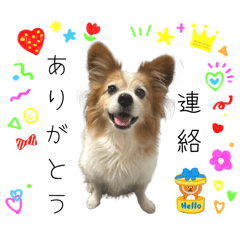 [LINEスタンプ] 王子くん 最新