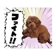 [LINEスタンプ] てぃなくんスタンプ