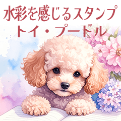 [LINEスタンプ] 水彩を感じるトイプードルスタンプ
