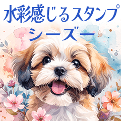 [LINEスタンプ] 水彩感じるスタンプ シーズー