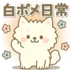 [LINEスタンプ] 白ポメ＊もふもふ日常スタンプ